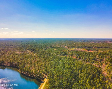 Prime 26-acre tract on Lake Johnston within the Deercroft - photo 2