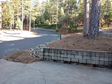 Price Just Reduced!! Discover Unmatched Space and Seclusion on 1 - photo 4