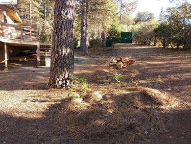 Price Just Reduced!! Discover Unmatched Space and Seclusion on 1 - photo 8