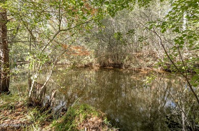 Enjoy waterfront living on the bayou in Gautier, conveniently - photo 33