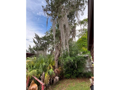 Discover the charm of true Florida living in this Fisherman's - photo 36