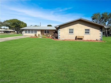 Discover this beautifully updated 4-bedroom, 2-bath home - photo 40