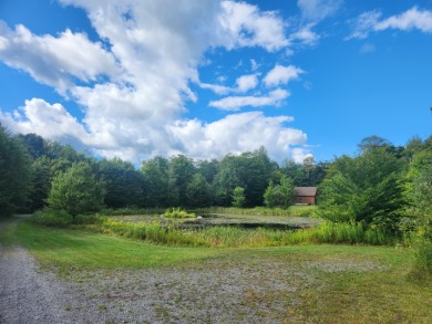 Tug Hill Log Lodge - photo 21