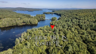 Lake Acreage For Sale in Casco, Maine