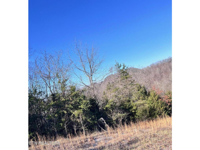 Welcome to Tract 2 on Bundren Mountain in beautiful East - photo 9