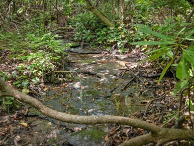 Neighboring the breathtaking Panthertown Valley-often called the - photo 14