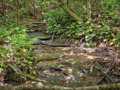 Neighboring the breathtaking Panthertown Valley-often called the - photo 15