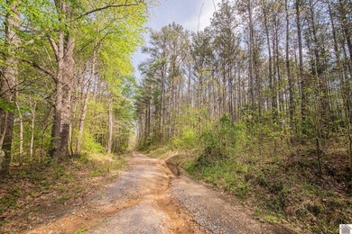 Rare opportunity to own approximately 12 acres of waterfront - photo 8