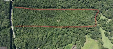 (private lake, pond, creek) Acreage For Sale in Calhoun Georgia