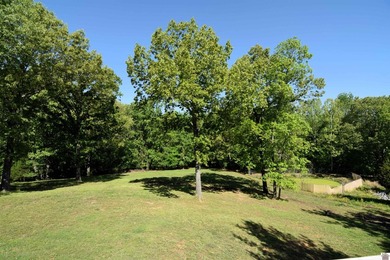 Welcome to this Kentucky Lake Home where quality meets space - photo 10