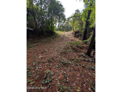 (private lake, pond, creek) Acreage For Sale in Trenton North Carolina