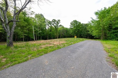 This 7.182+/- acre tract in Marshall County, Kentucky offers an - photo 3