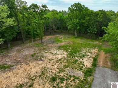 This 7.182+/- acre tract in Marshall County, Kentucky offers an - photo 4