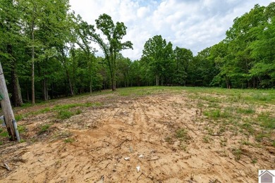 This 7.182+/- acre tract in Marshall County, Kentucky offers an - photo 5