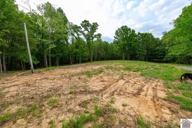 This 7.182+/- acre tract in Marshall County, Kentucky offers an - photo 6