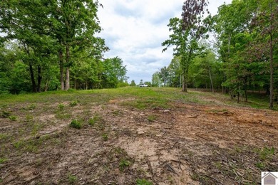 This 7.182+/- acre tract in Marshall County, Kentucky offers an - photo 7