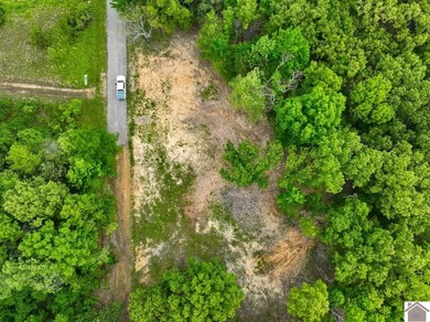 This 7.182+/- acre tract in Marshall County, Kentucky offers an - photo 8