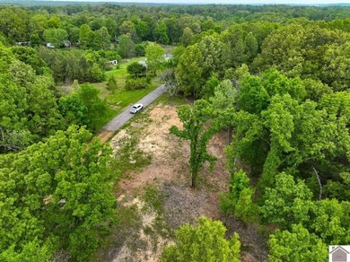 This 7.182+/- acre tract in Marshall County, Kentucky offers an - photo 9