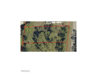 Lehigh Acres Area Lot For Sale in Lehigh Acres Florida