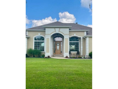 Lake Home For Sale in Piggott, Arkansas