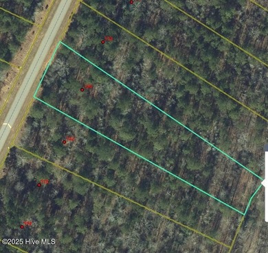 Blewett Falls Lake Lot For Sale in Rockingham North Carolina
