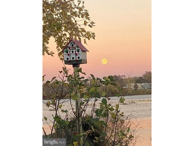 **WATERVIEW** Enjoy LIFE on the WATER here in this lovely 4 - photo 37