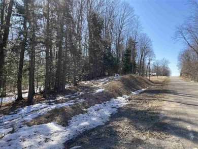 Walloon Lake Lot For Sale in Petoskey Michigan