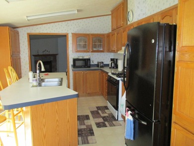 Looking for that perfect up north escape? This could be the home - photo 8