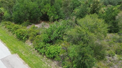 Your Dream Starts Here with this Oversized Vacant Lot in Port - photo 3