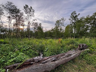 (private lake, pond, coastal) Acreage For Sale in Hooversville Pennsylvania
