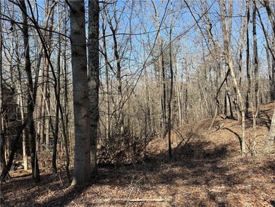 Rare opportunity to build a custom home on a homesite facing - photo 1