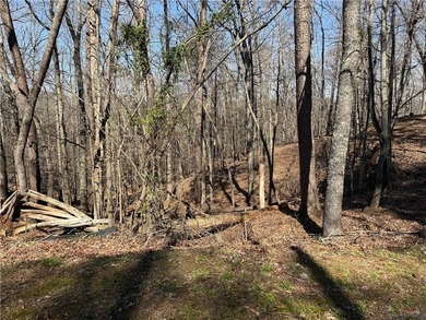 Rare opportunity to build a custom home on a homesite facing - photo 3