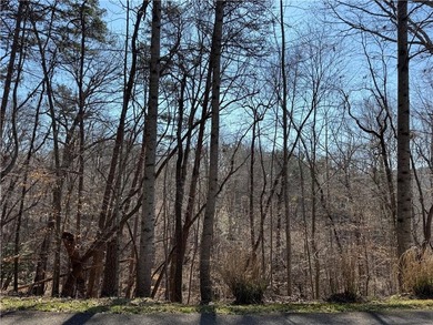 Rare opportunity to build a custom home on a homesite facing - photo 4