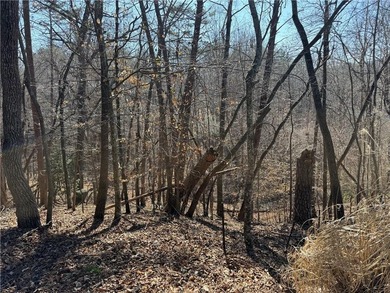 Rare opportunity to build a custom home on a homesite facing - photo 5