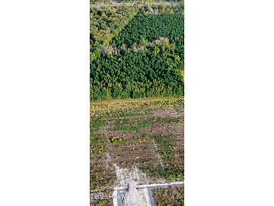 Perquimans River Acreage Sale Pending in Hertford North Carolina