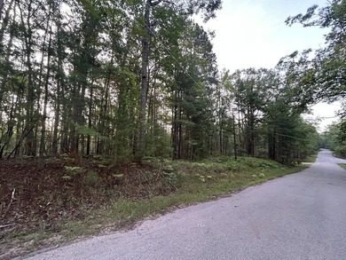 Two wooded, water-view lots being sold together in a beautiful N - photo 5