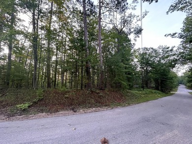 Two wooded, water-view lots being sold together in a beautiful N - photo 6
