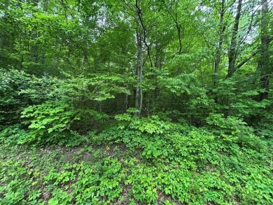 Lake Acreage For Sale in Jamestown, Tennessee