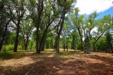 Jana Barrett, Bluebird Real Estate, LLC, C:,,: Rare Riverfront - photo 6