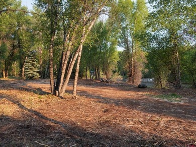 Jana Barrett, Bluebird Real Estate, LLC, C:,,: Rare Riverfront - photo 8