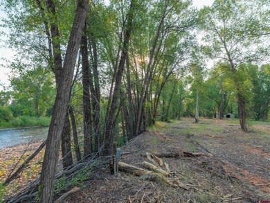 Jana Barrett, Bluebird Real Estate, LLC, C:,,: Rare Riverfront - photo 10