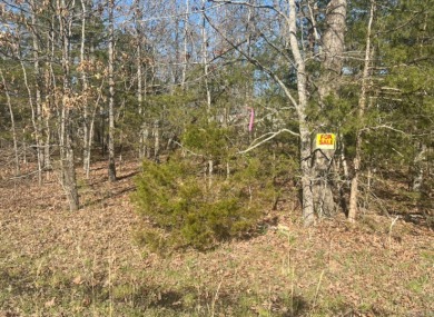 Crown Lake Lot For Sale in Horseshoe Bend Arkansas