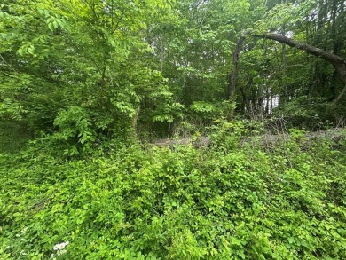 Lake Acreage For Sale in Jamestown, Tennessee