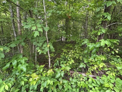 Lake Acreage For Sale in Jamestown, Tennessee