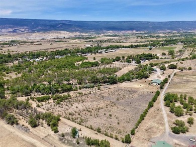 Aaron Tobler, RE/MAX Alpine View, C:,,: Discover your dream - photo 4