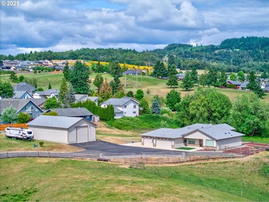 One-Level Home, SHOP, Additional Structure & 11+ Acres with Golf - photo 38
