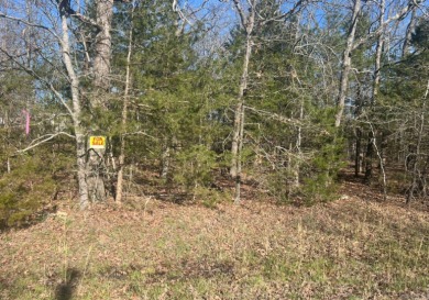Lake Lot For Sale in Horseshoe Bend, Arkansas