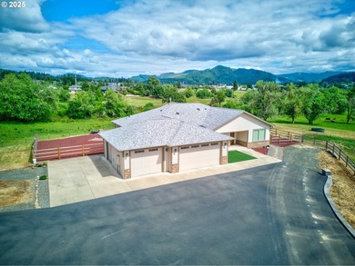 One-Level Home, SHOP, Additional Structure & 11+ Acres with Golf - photo 41