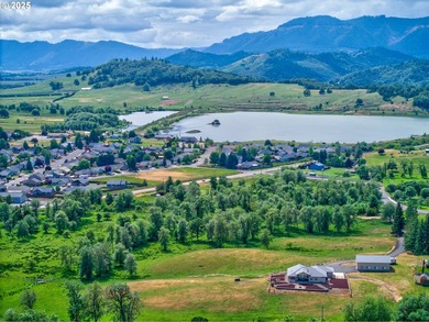 One-Level Home, SHOP, Additional Structure & 11+ Acres with Golf - photo 42