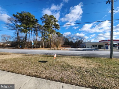 Located just one parcel off Rt #50 at the lighted intersection - photo 5
